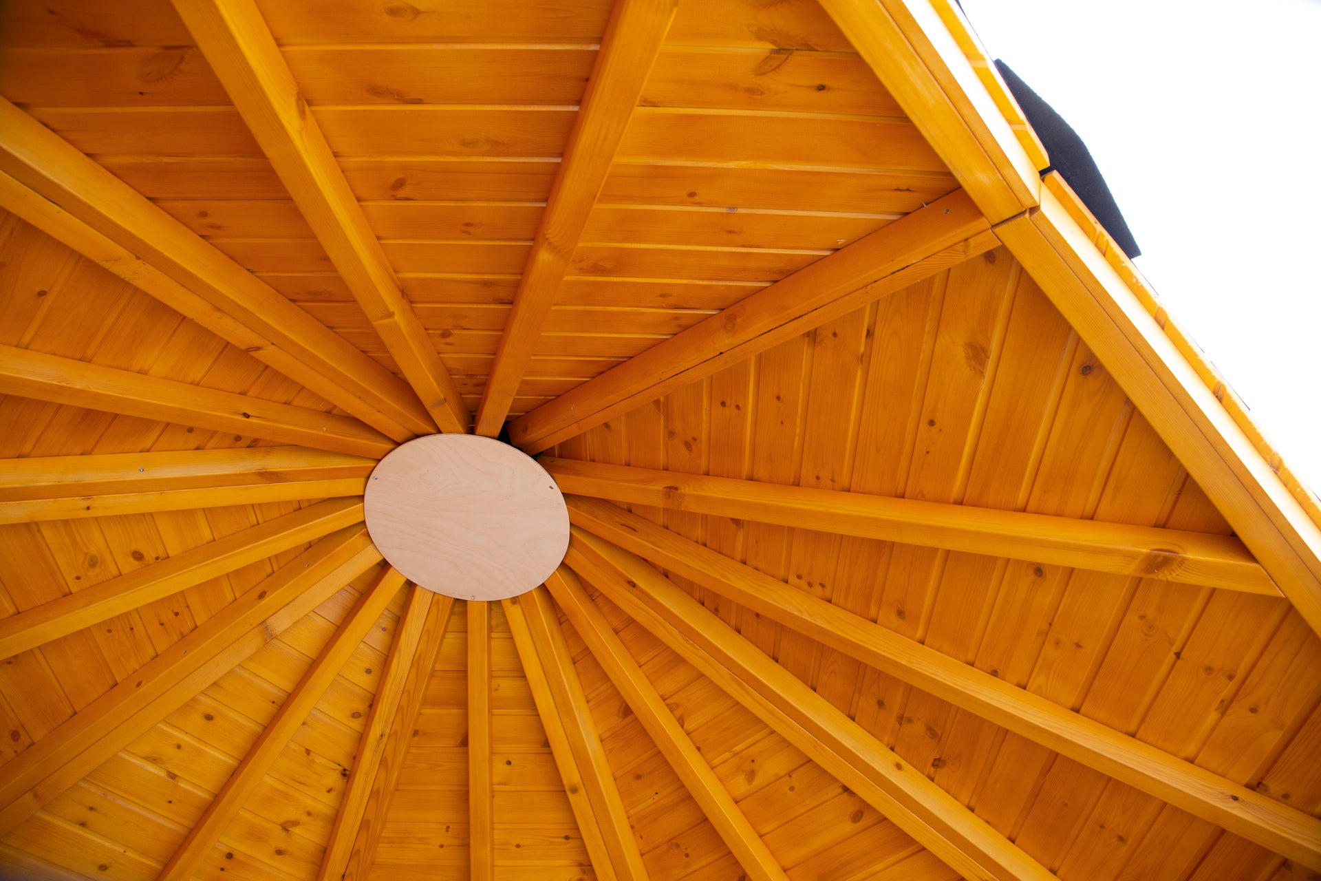 Wolff Finnhaus Wetterschutzhütte Wanja 3327 XL 45 Betongrau mit Grill