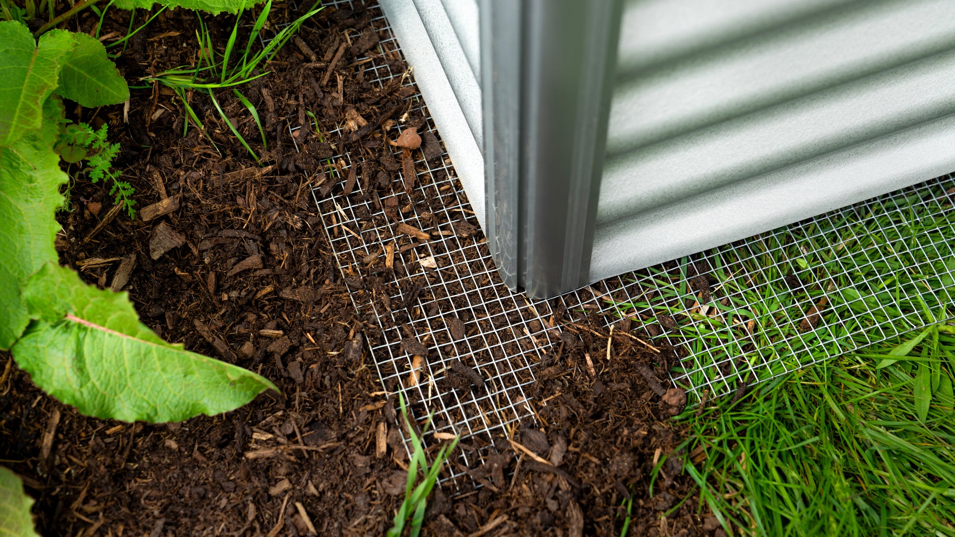 Vitavia Gewächshaus-SET Palma 3250 ESG/HKP schwarz, inkl. Hochbeet Linus IN-OUT, inkl. Mäusegitter für Hochbeete und Metallsieb-Set