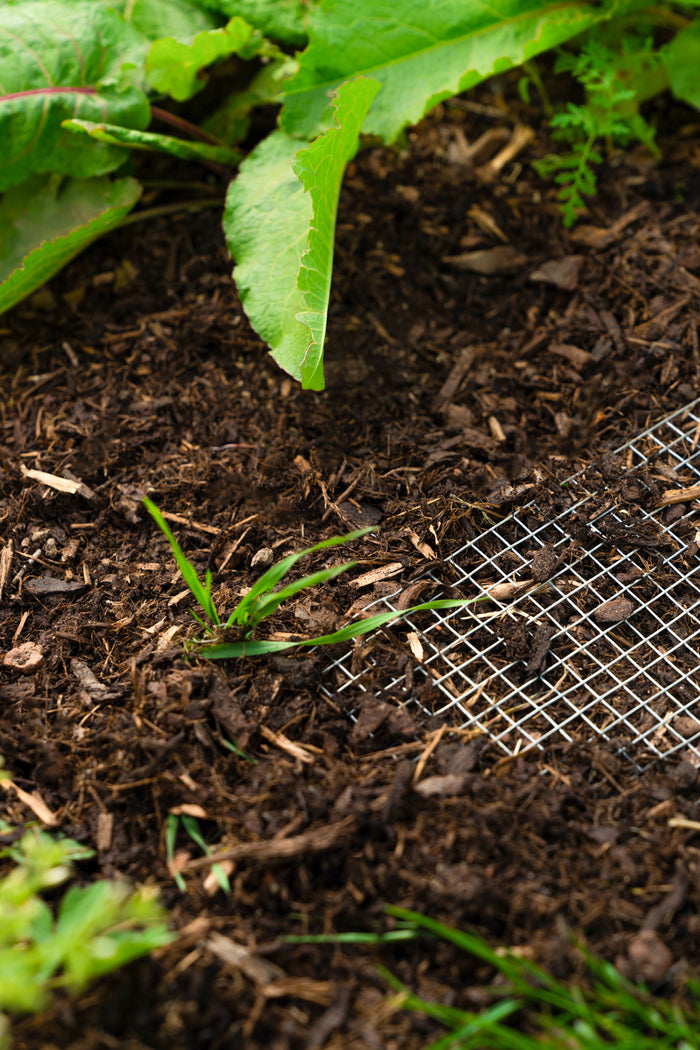 Vitavia Gewächshaus-SET Palma 3250 ESG/HKP schwarz, inkl. Hochbeet Linus IN-OUT, inkl. Mäusegitter für Hochbeete und Metallsieb-Set