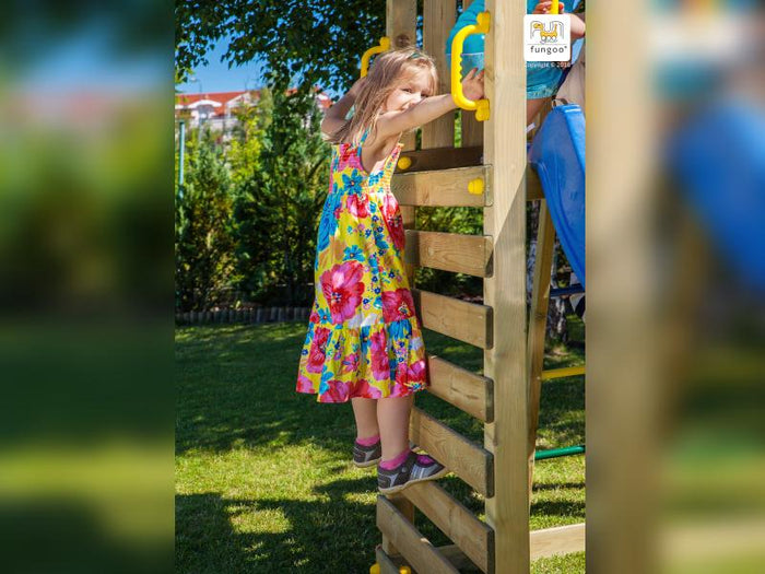 FUNGOO CAROL1 / NADELHOLZ KDI