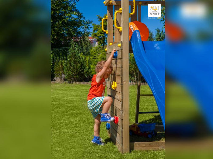 FUNGOO CAROL2 / NADELHOLZ KDI