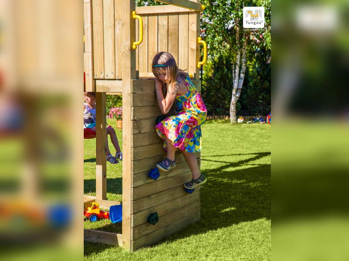 FUNGOO CAROL3 / NADELHOLZ KDI