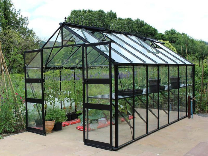 Halls Gewächshaus Cotswold Blockley 814 schwarz mit Sicherheitsglas