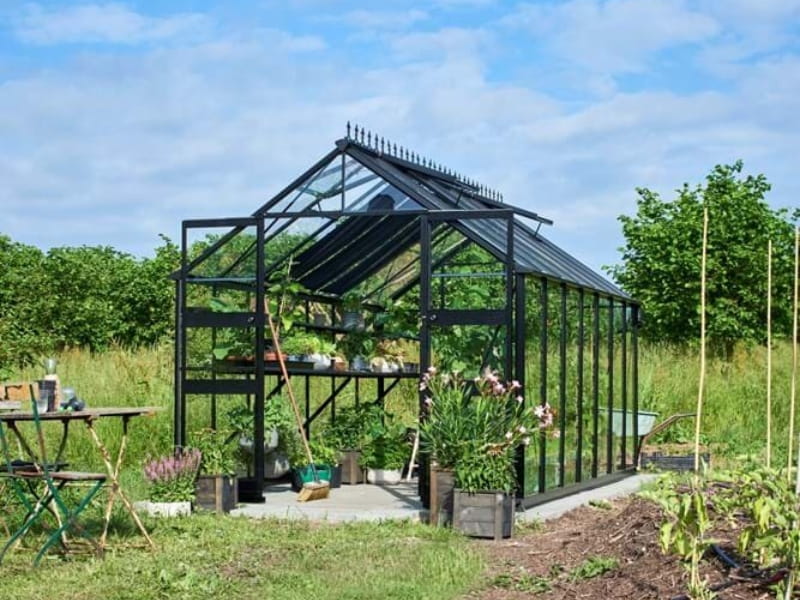 Halls Gewächshaus Cotswold Blockley 814 schwarz mit Sicherheitsglas