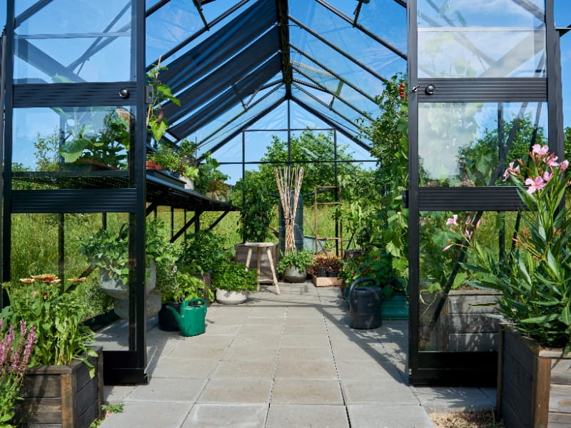 Halls Gewächshaus Cotswold Blockley 814 schwarz mit Sicherheitsglas