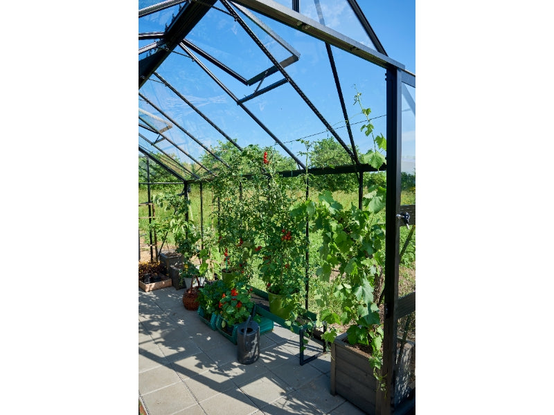 Halls Gewächshaus Cotswold Blockley 814 schwarz mit Sicherheitsglas