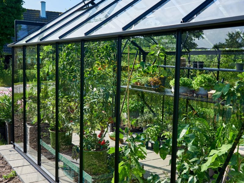 Halls Gewächshaus Cotswold Blockley 814 schwarz mit Sicherheitsglas