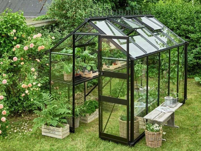 Halls Gewächshaus Cotswold Burford 610 schwarz mit Sicherheitsglas