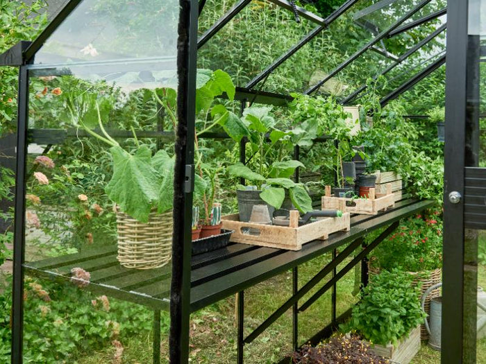 Halls Gewächshaus Integrierter Tisch - Cotswold - schwarz - 6 Sektionen