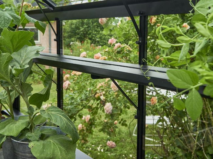 Halls Gewächshaus Integriertes Regal - Cotswold - schwarz - 7 Sektionen