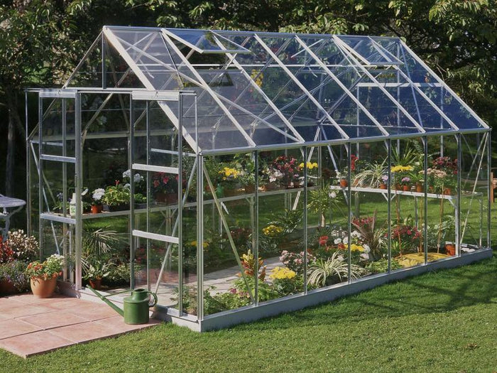 Halls Gewächshaus Magnum 148 Alu Blankglas, SPARSET inkl. Fundament