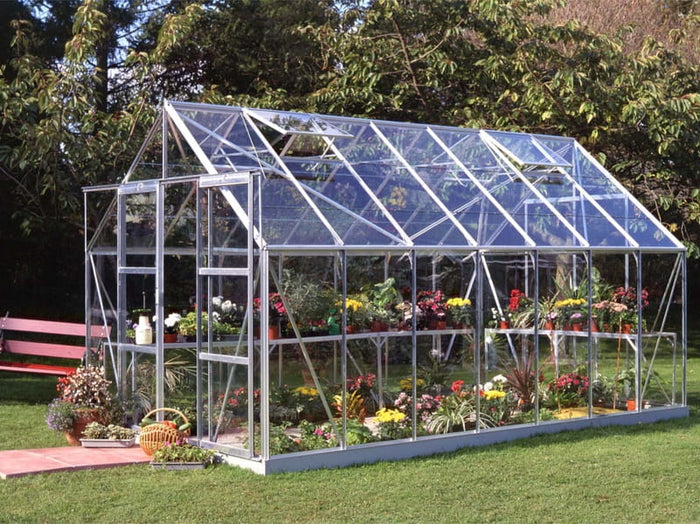 Halls Gewächshaus Magnum 148 Alu Blankglas, SPARSET inkl. Fundament