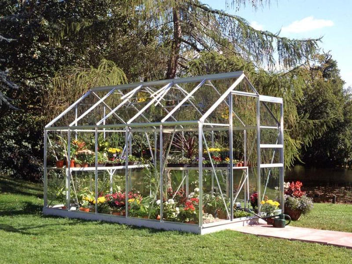 Halls Gewächshaus Popular 106 Alu Blankglas - SPARSET inkl. Fundament