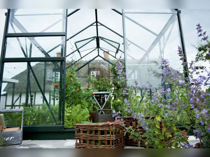 Halls Gewächshaus Popular 106 Grün Blankglas