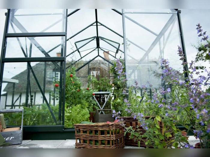 Halls Gewächshaus Popular 106 Grün Blankglas