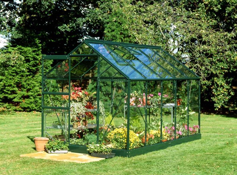 Halls Gewächshaus Popular 106 Grün Blankglas