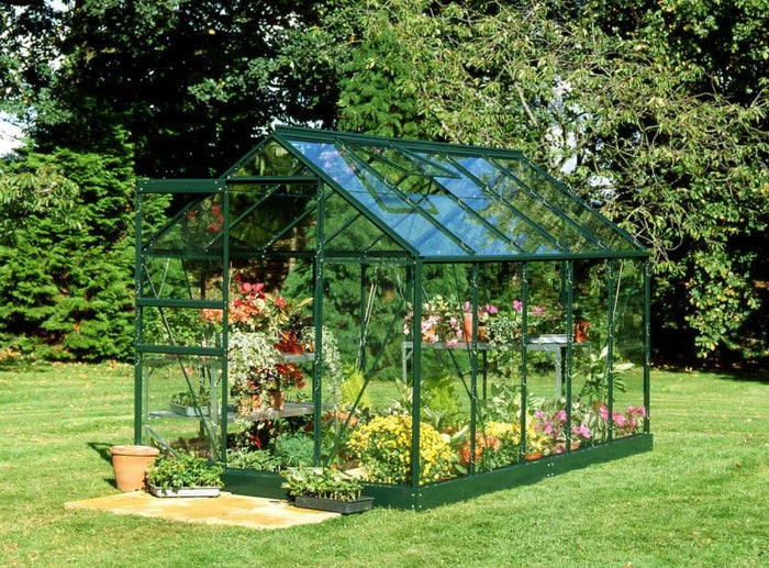 Halls Gewächshaus Popular 106 Grün Blankglas