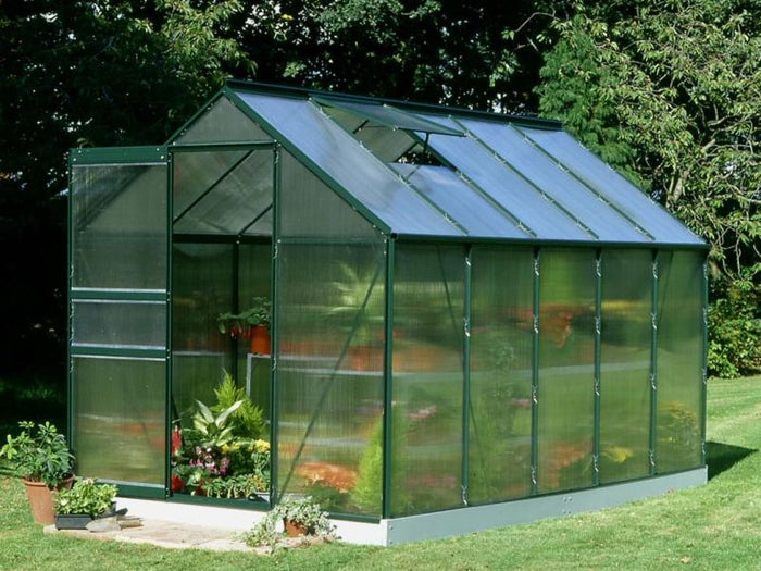 Halls Gewächshaus Popular 106 Grün SDPL