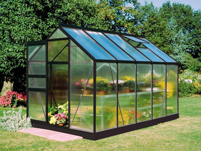 Halls Gewächshaus Popular 106 Schwarz SDPL