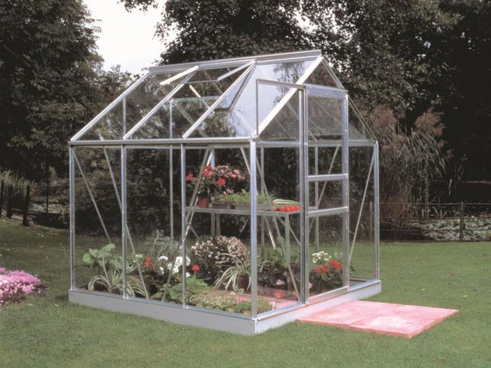 Halls Gewächshaus Popular 66 Alu Sicherheitsglas