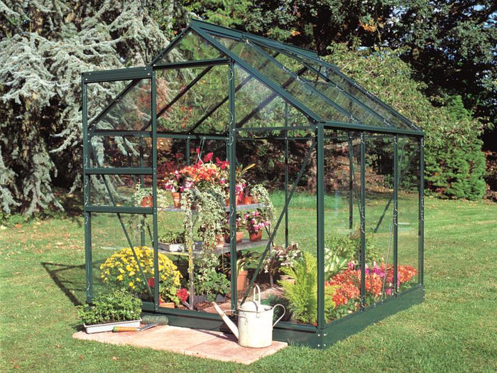 Halls Gewächshaus Popular 66 Grün Sicherheitsglas