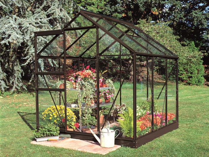 Halls Gewächshaus Popular 66 Schwarz Blankglas