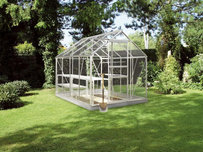 Halls Gewächshaus Popular 86 Blankglas, SPARSET inkl. Fundament