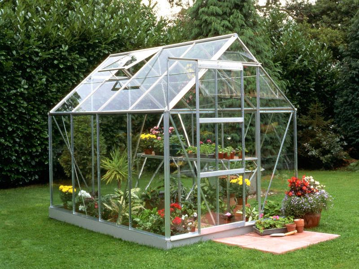 Halls Gewächshaus Popular 86 Blankglas