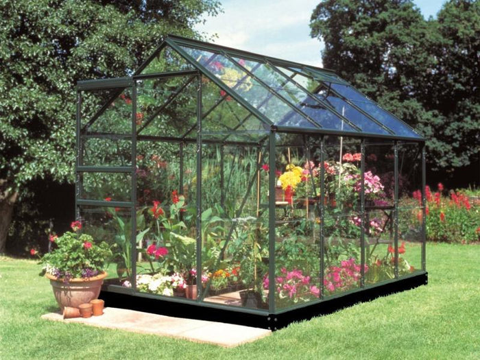 Halls Gewächshaus Popular 86 Grün Blankglas - SPARSET inkl. Fundament
