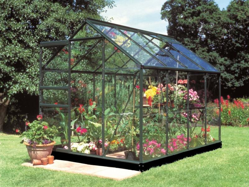 Halls Gewächshaus Popular 86 Grün Blankglas