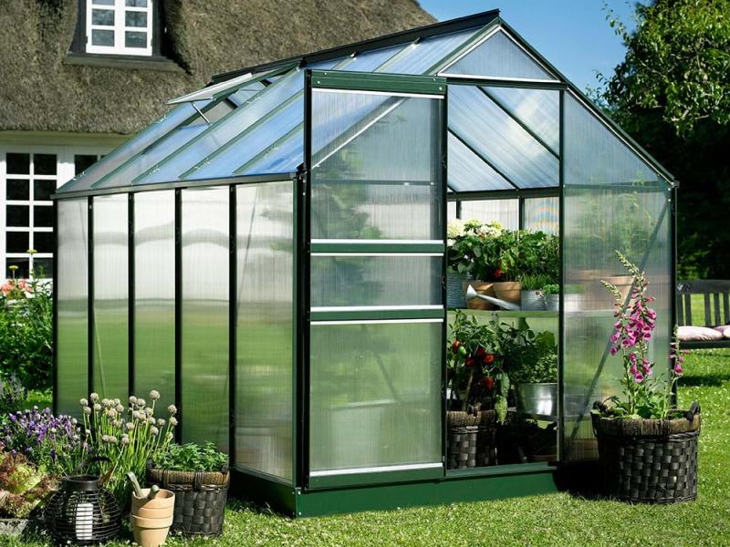 Halls Gewächshaus Popular 86 Grün SDPL