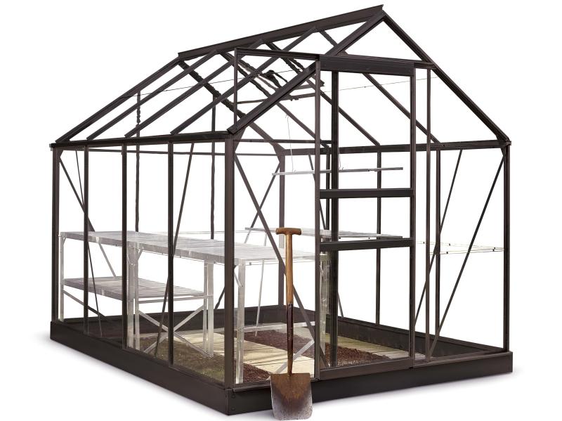 Halls Gewächshaus Popular 86 Schwarz Blankglas