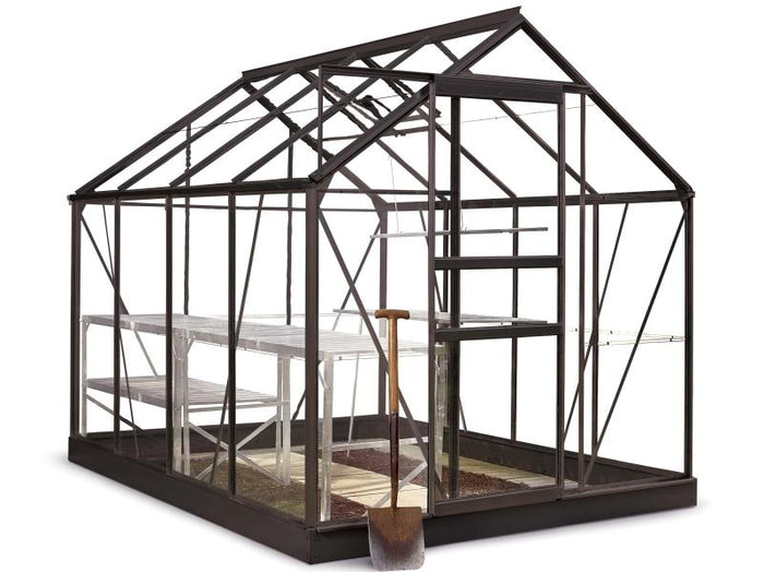 Halls Gewächshaus Popular 86 Schwarz Blankglas