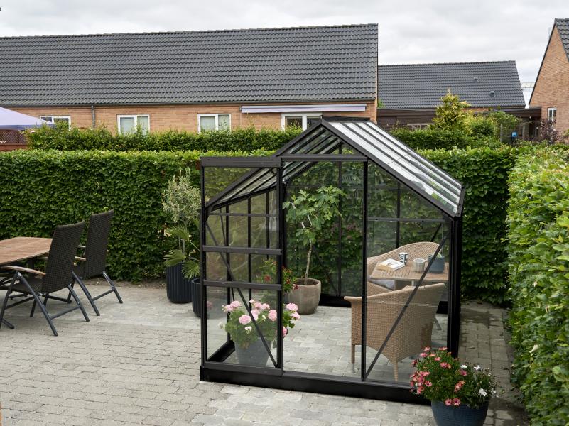 Halls Gewächshaus Popular 86 Schwarz Blankglas
