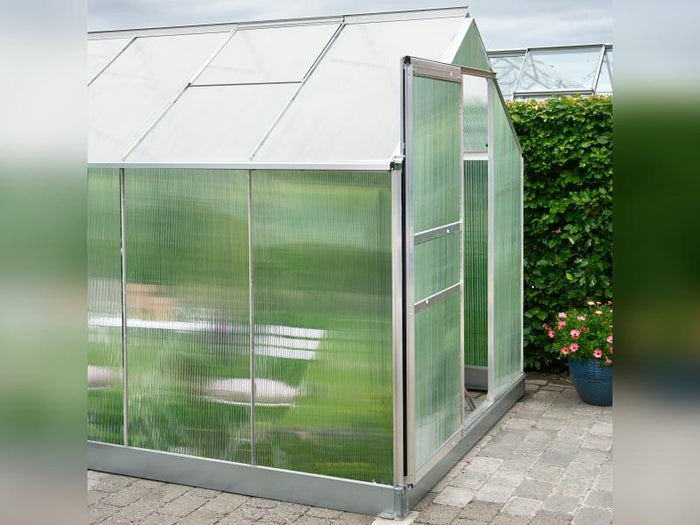 Halls Gewächshaus Popular 86 SDPL