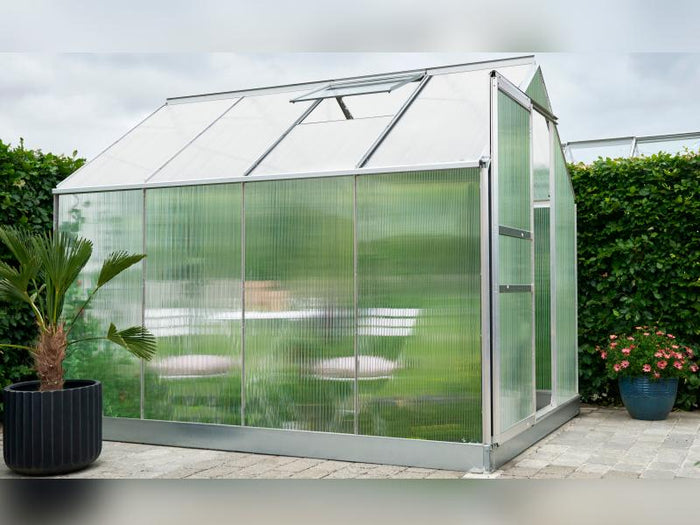 Halls Gewächshaus Popular 86 SDPL