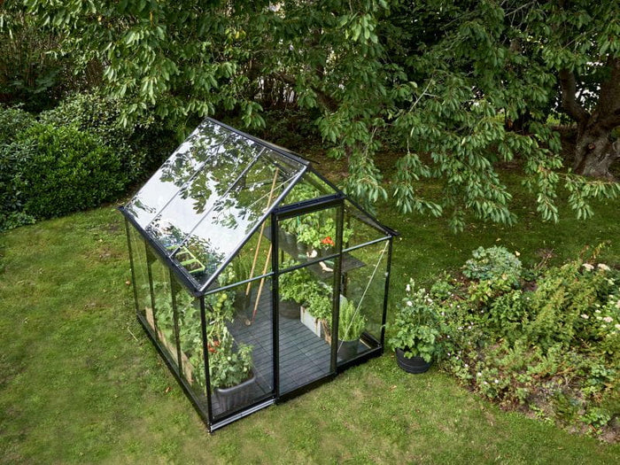 Halls Gewächshaus Qube 66 Schwarz Sicherheitsglas