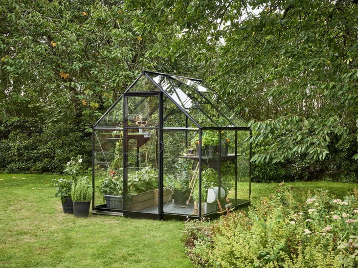 Halls Gewächshaus Qube 66 Schwarz Sicherheitsglas