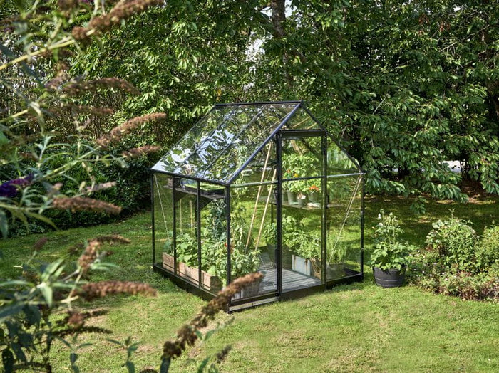 Halls Gewächshaus Qube 66 Schwarz Sicherheitsglas