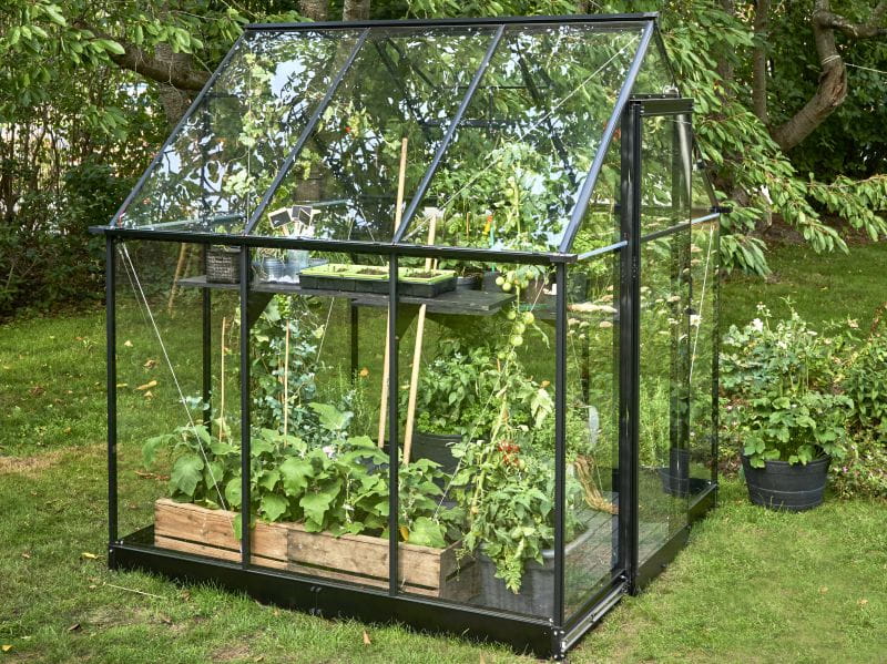 Halls Gewächshaus Qube 66 Schwarz Sicherheitsglas