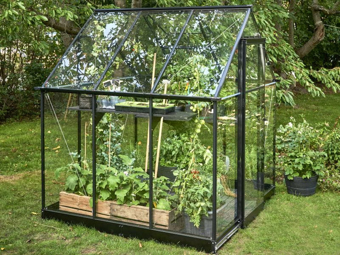 Halls Gewächshaus Qube 66 Schwarz Sicherheitsglas