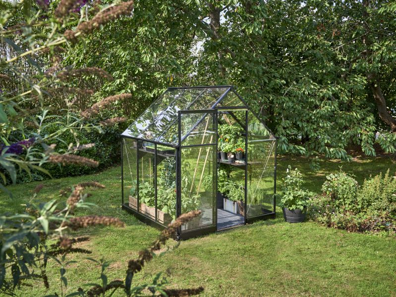 Halls Gewächshaus Qube 66 Schwarz Sicherheitsglas