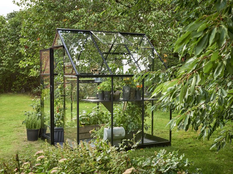 Halls Gewächshaus Qube 66 Schwarz Sicherheitsglas