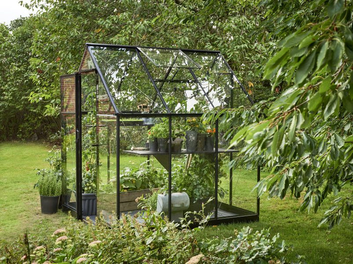 Halls Gewächshaus Qube 66 Schwarz Sicherheitsglas