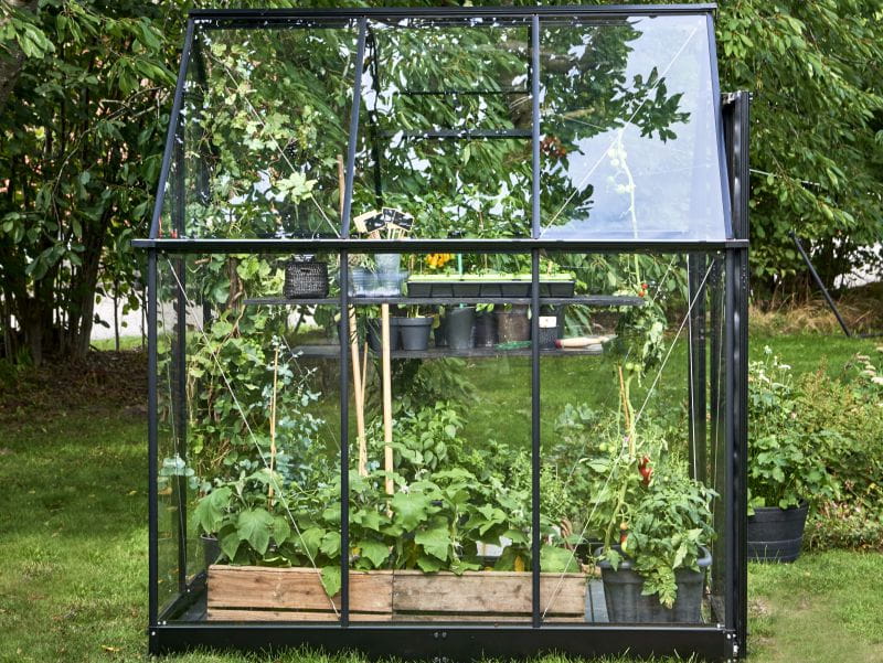 Halls Gewächshaus Qube 66 Schwarz Sicherheitsglas