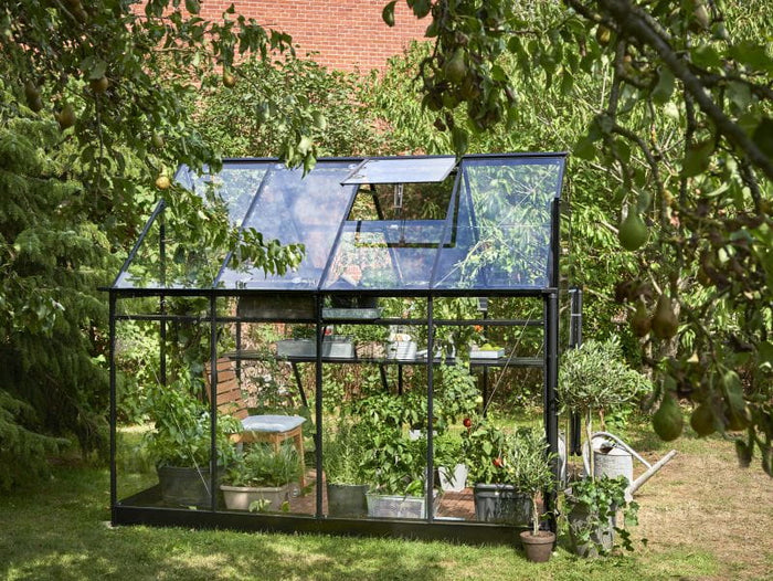 Halls Gewächshaus Qube 68 Schwarz Sicherheitsglas