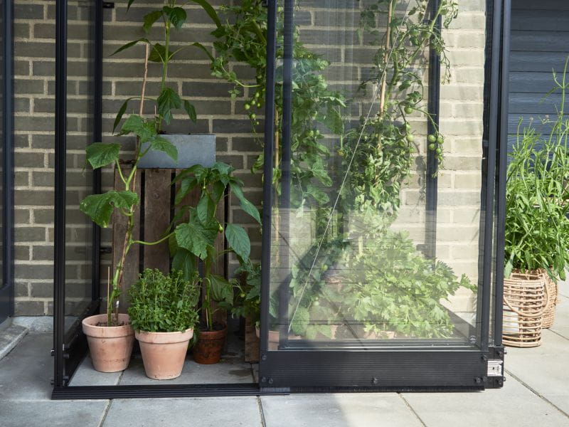 Halls Gewächshaus Qube Lean-to 24 Schwarz Sicherheitsglas