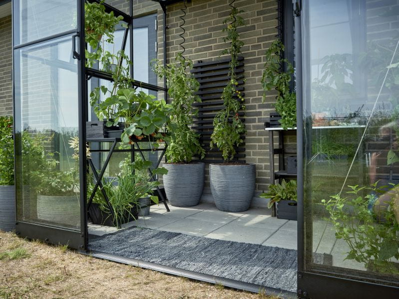 Halls Gewächshaus Qube Lean-to 68 Schwarz Sicherheitsglas