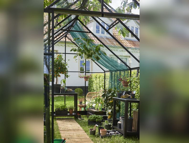 Halls Gewächshaus Qube+ 812 Schwarz Sicherheitsglas