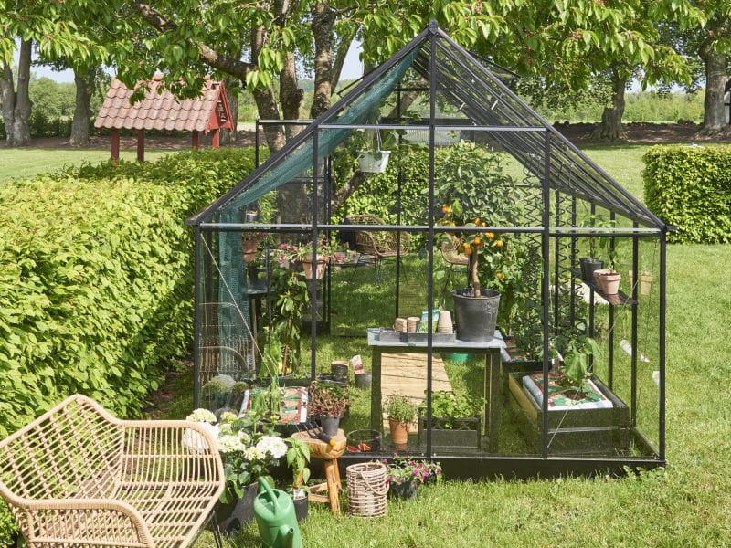 Halls Gewächshaus Qube+ 812 Schwarz Sicherheitsglas